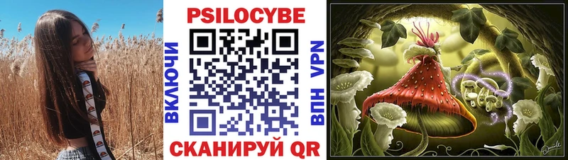 цена наркотик  Иркутск  Галлюциногенные грибы Cubensis 